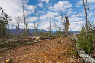 99999 Elk Mountain Scenic Highway #2, Asheville, NC 28804 - Photo 8