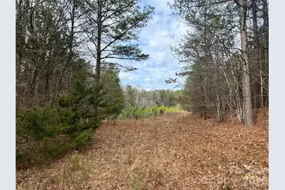 0 Hudlow Road, Rutherfordton, NC 28139 - Photo 6