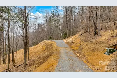 Tbd Phillips Gap Road, Purlear, NC 28665 - Photo 22