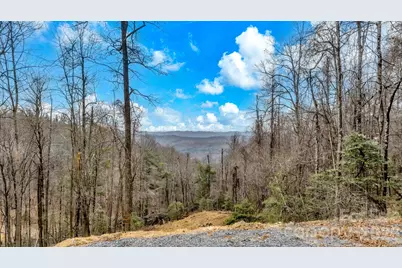 Tbd Phillips Gap Road, Purlear, NC 28665 - Photo 1