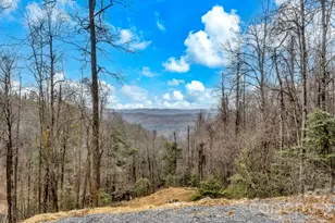 Tbd Phillips Gap Rd, Purlear, NC 28665 - Photo 1