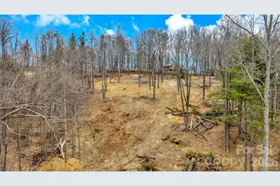 Tbd Phillips Gap Road, Purlear, NC 28665 - Photo 8