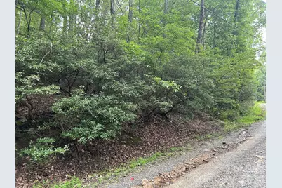 0 Pine Ridge Road #21, Hendersonville, NC 28792 - Photo 4