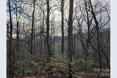 0 Pine Ridge Road #21, Hendersonville, NC 28792 - Photo 20