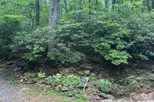 0 Pine Ridge Rd, Hendersonville, NC 28792 - Photo 1