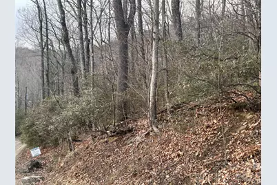 0 Pine Ridge Road #21, Hendersonville, NC 28792 - Photo 14