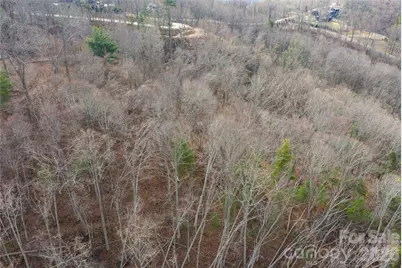 99999 Elk Mountain Scenic Highway #1, Asheville, NC 28804 - Photo 8