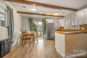 1685 Lynn Rd, Columbus, NC 28722 - Photo 10