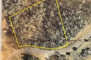 1735 Roy Caldwell St, Morganton, NC 28655 - Photo 18