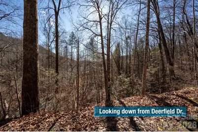 171 Deerfield Drive #15, Lake Lure, NC 28746 - Photo 12