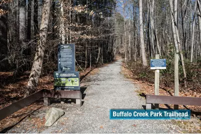 171 Deerfield Drive #15, Lake Lure, NC 28746 - Photo 8