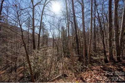 171 Deerfield Drive #15, Lake Lure, NC 28746 - Photo 10