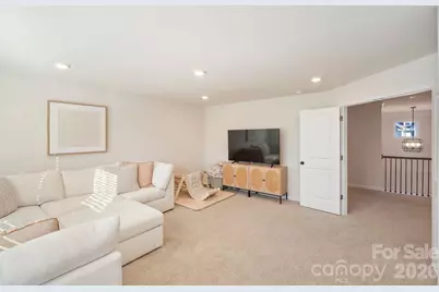 2441 Napa Terrace, Lake Wylie, SC 29710 - Photo 44