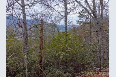 9999 Lower Burningtown Road, Franklin, NC 28734 - Photo 4