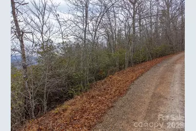 9999 Lower Burningtown Road, Franklin, NC 28734 - Photo 2