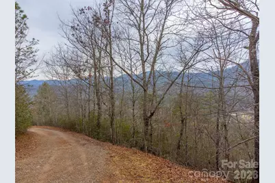 9999 Lower Burningtown Road, Franklin, NC 28734 - Photo 8