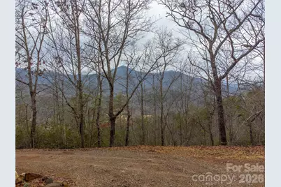 9999 Lower Burningtown Road, Franklin, NC 28734 - Photo 6