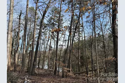 868 Bellegray Road, Clover, SC 29710 - Photo 4