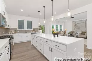 450 Black Bear St, China Grove, NC 28023 - Photo 4