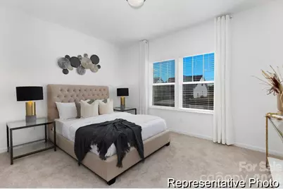 465 Black Bear Street #156p, China Grove, NC 28023 - Photo 20