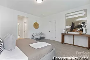 465 Black Bear St, China Grove, NC 28023 - Photo 16