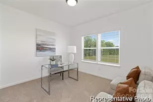 465 Black Bear St, China Grove, NC 28023 - Photo 12