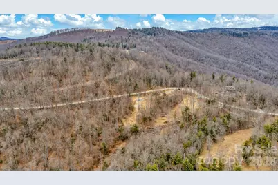 Tbd Phillips Gap Road, Purlear, NC 28665 - Photo 20