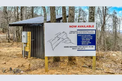 Tbd Phillips Gap Road, Purlear, NC 28665 - Photo 6