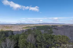 149 Woodbriar St, Forest City, NC 28043 - Photo 44