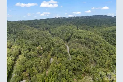 1821 Bearwallow Mountain Road, Hendersonville, NC 28792 - Photo 46