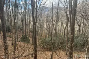 68 Grouse Rd, Clyde, NC 28721 - Photo 1