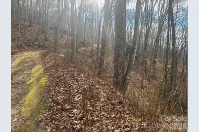 68 Grouse Road #68, Clyde, NC 28721 - Photo 4