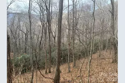68 Grouse Road #68, Clyde, NC 28721 - Photo 6