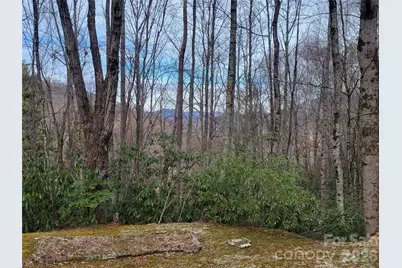 859 Big Cove Road, Waynesville, NC 28786 - Photo 16