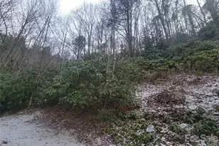 859 Big Cove Rd, Waynesville, NC 28786 - Photo 10