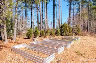 858 Mills Gap Rd, Fletcher, NC 28732 - Photo 22