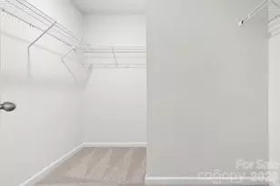 1316 Mona Vale Dr, Huntersville, NC 28078 - Photo 24