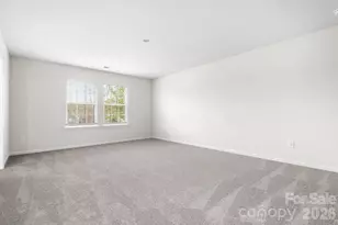 1316 Mona Vale Dr, Huntersville, NC 28078 - Photo 20