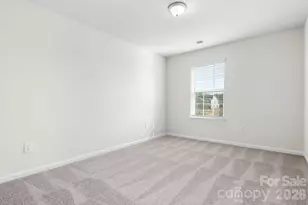 1316 Mona Vale Dr, Huntersville, NC 28078 - Photo 28