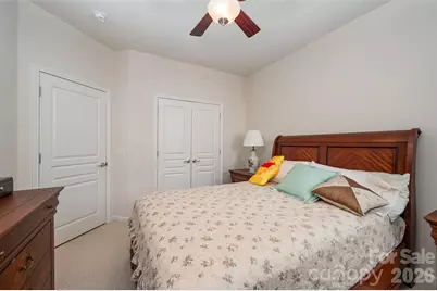 41166 Calla Lily Street, Indian Land, SC 29707 - Photo 26