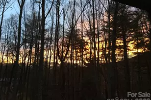 7 Brushwood Rd, Asheville, NC 28804 - Photo 34