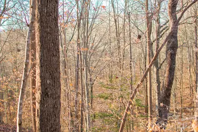 0 Windbluff Court #161, Statesville, NC 28677 - Photo 4