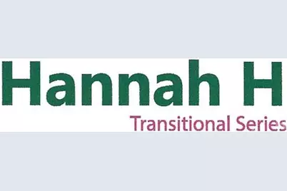 261 Corrie Ann Drive, Concord, NC 28027 - Photo 4