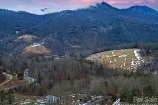 166 Harleys Cv, Waynesville, NC 28785 - Photo 42