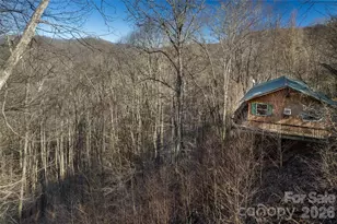 244 Grindstone Knob Rd, Whittier, NC 28789 - Photo 36