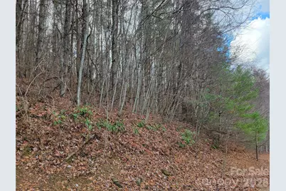 125 Lasso Lane #304, Waynesville, NC 28785 - Photo 14