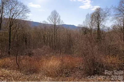 125 Lasso Lane #304, Waynesville, NC 28785 - Photo 10