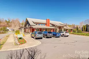 16 Holland Mountain Vw, Asheville, NC 28804 - Photo 34