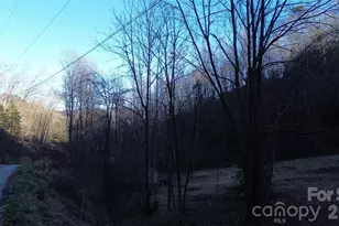 321 Mount Kys Dr, Bryson City, NC 28713 - Photo 20