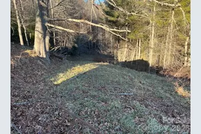 00000 Shelton Laurel Road, Clyde, NC 28721 - Photo 6